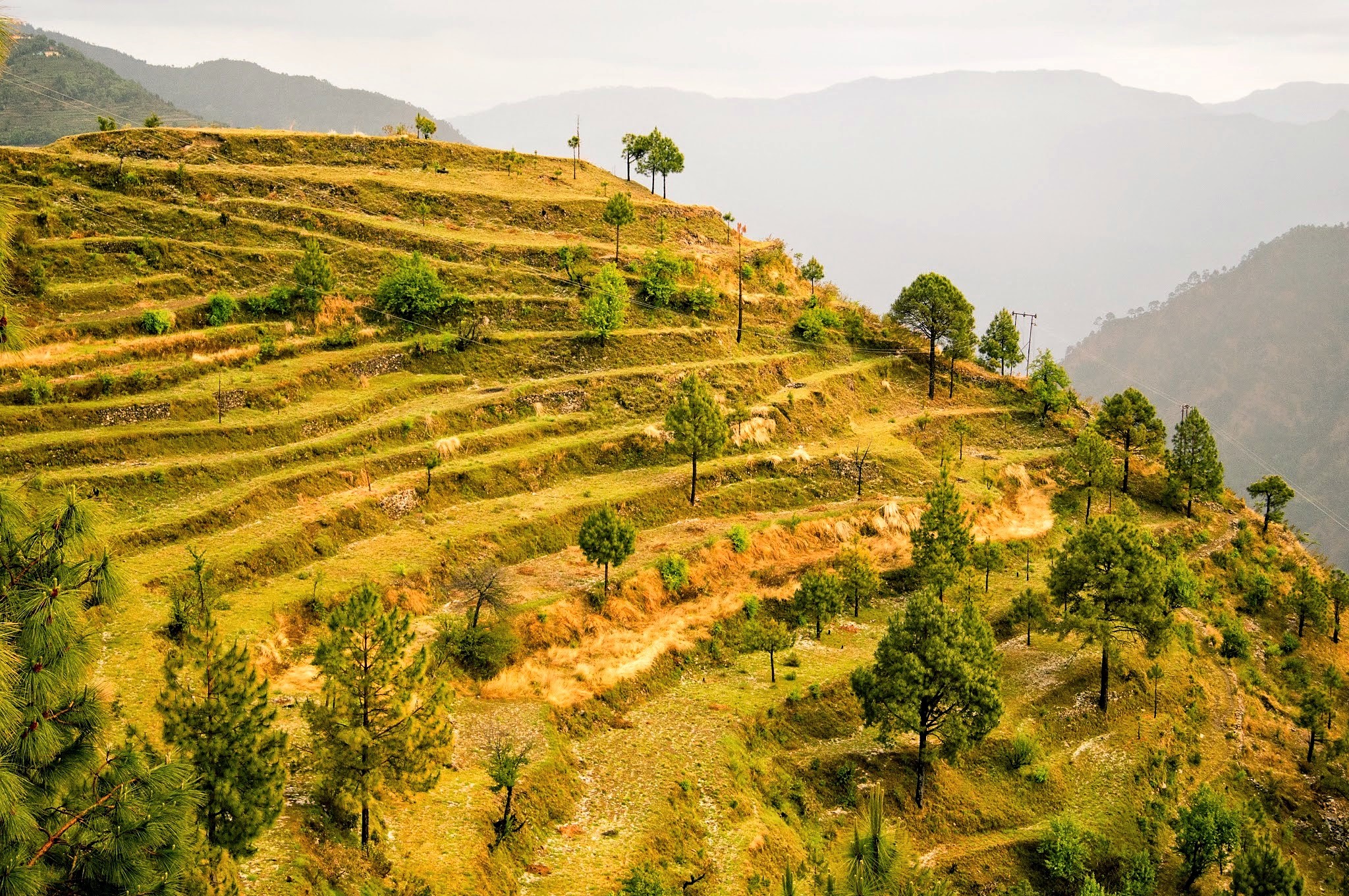 Kanatal-101