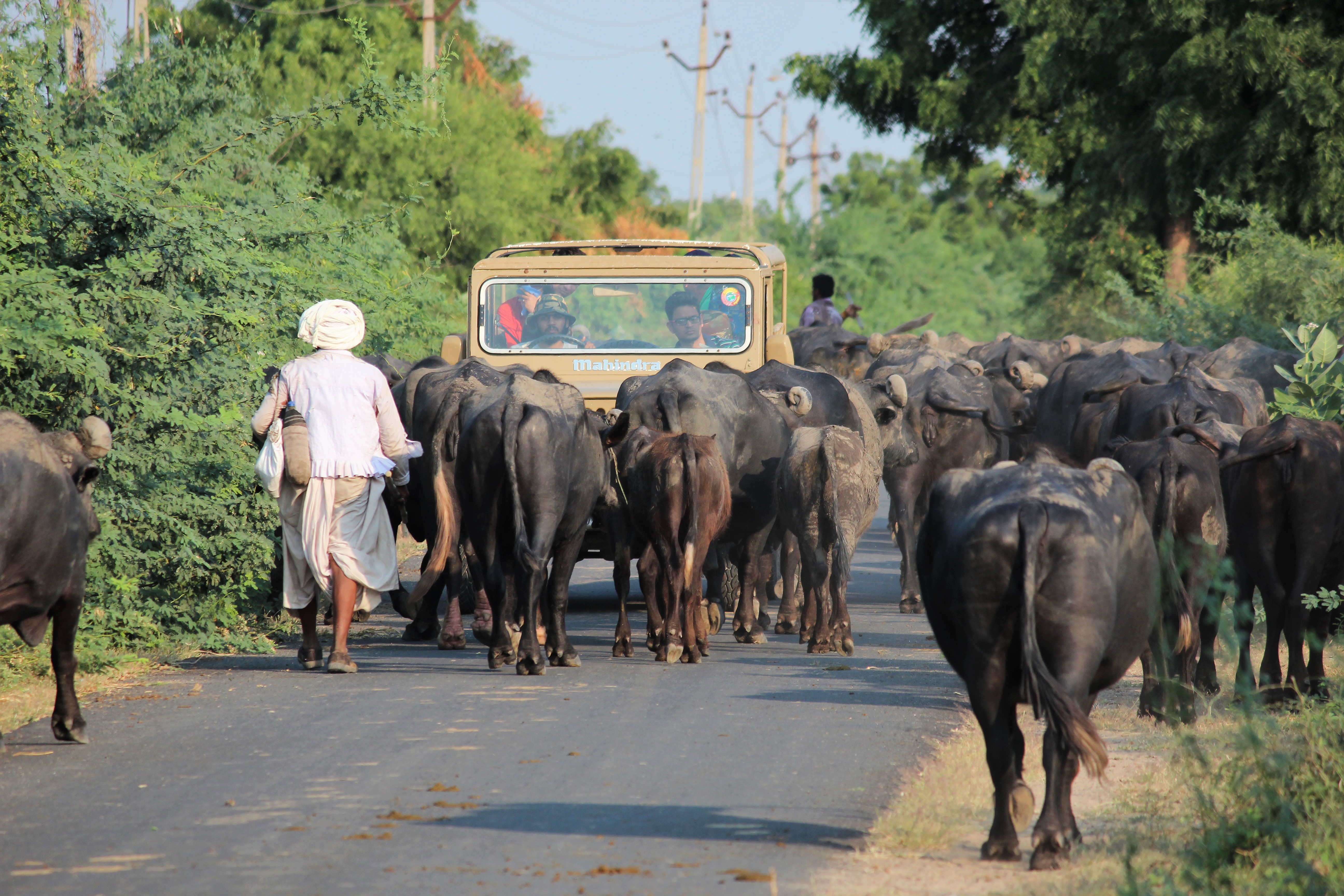 Pukka road, Gujarat village