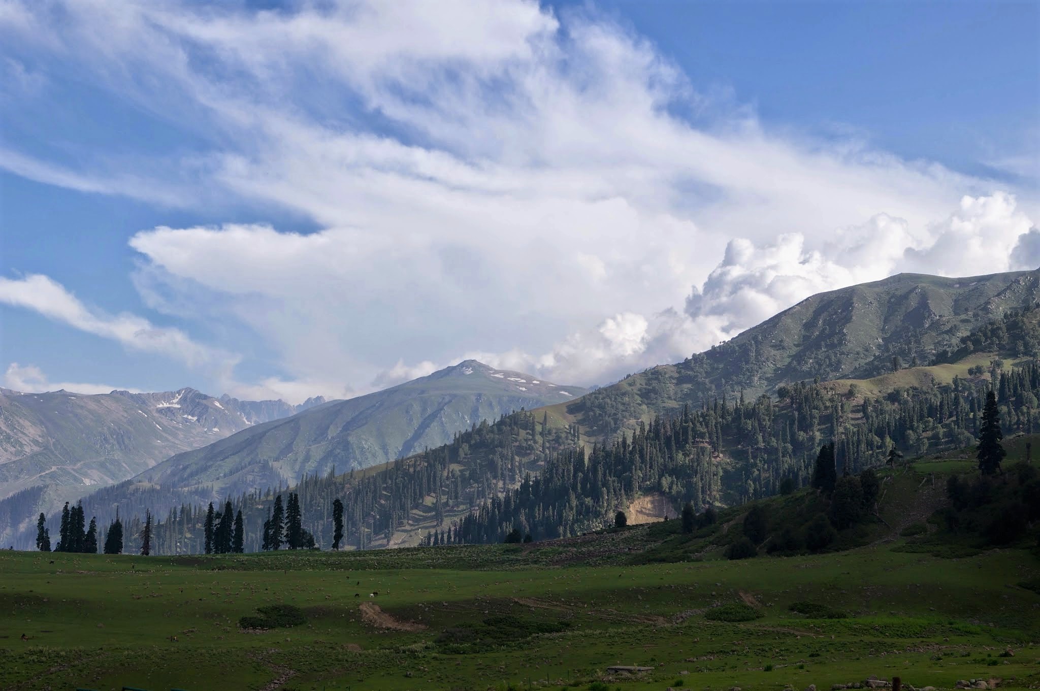 poem, Kashmir, memory