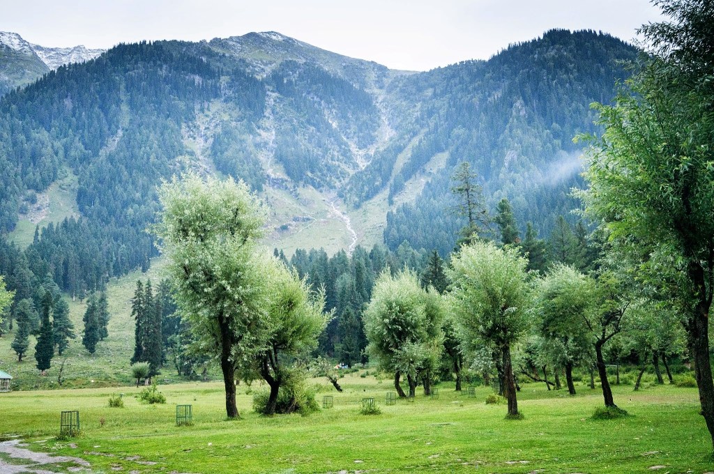 Betaab Valley in Pahalgam in Kashmir