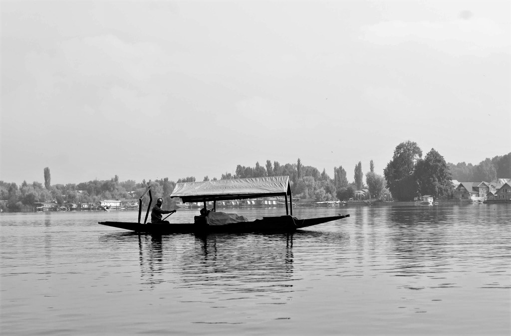 Shikara, Dal Lake, Srinagar, Kashmir