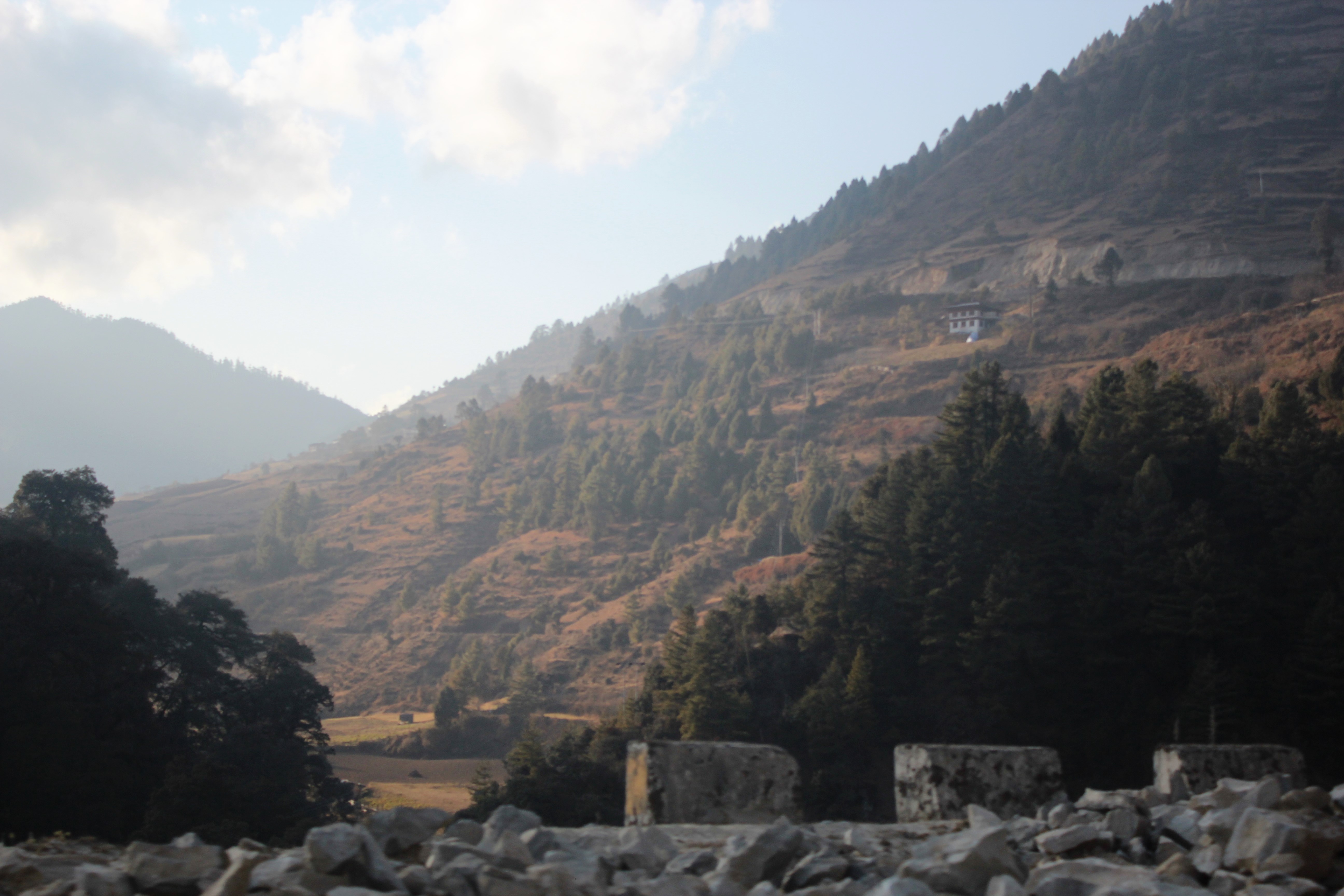 January, shade, brown, green, dominate