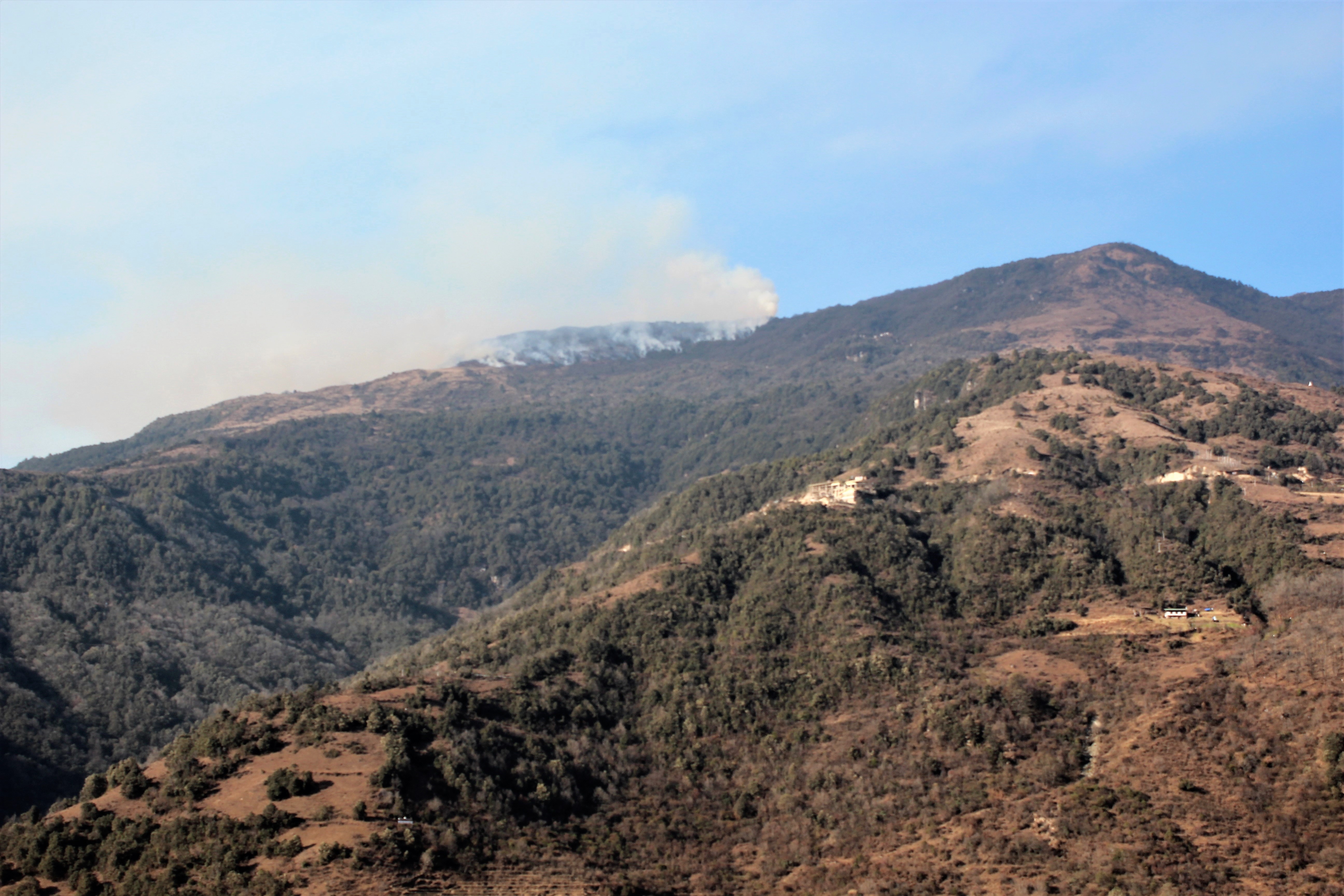 mankind, ultimate, doom, forest fire, approach, trongsa