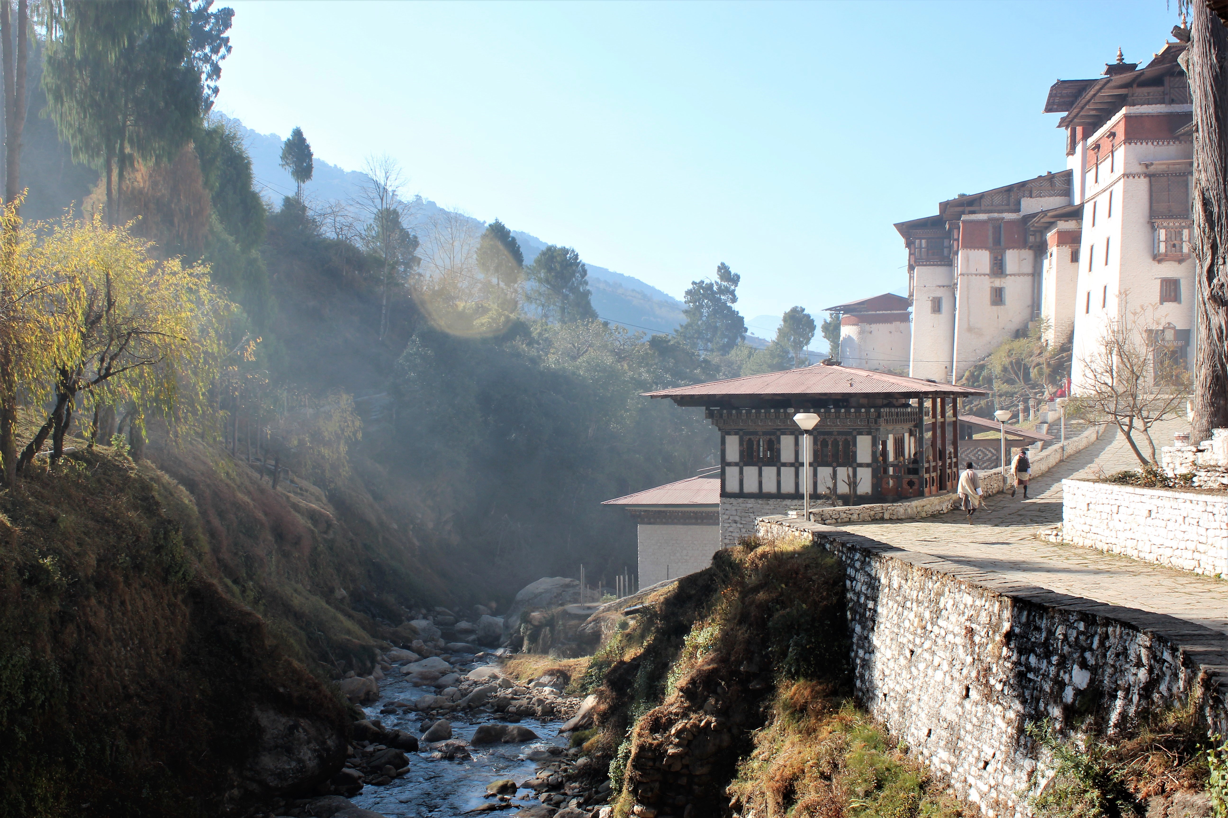 love, sunlight, filter, tree, light, dzong
