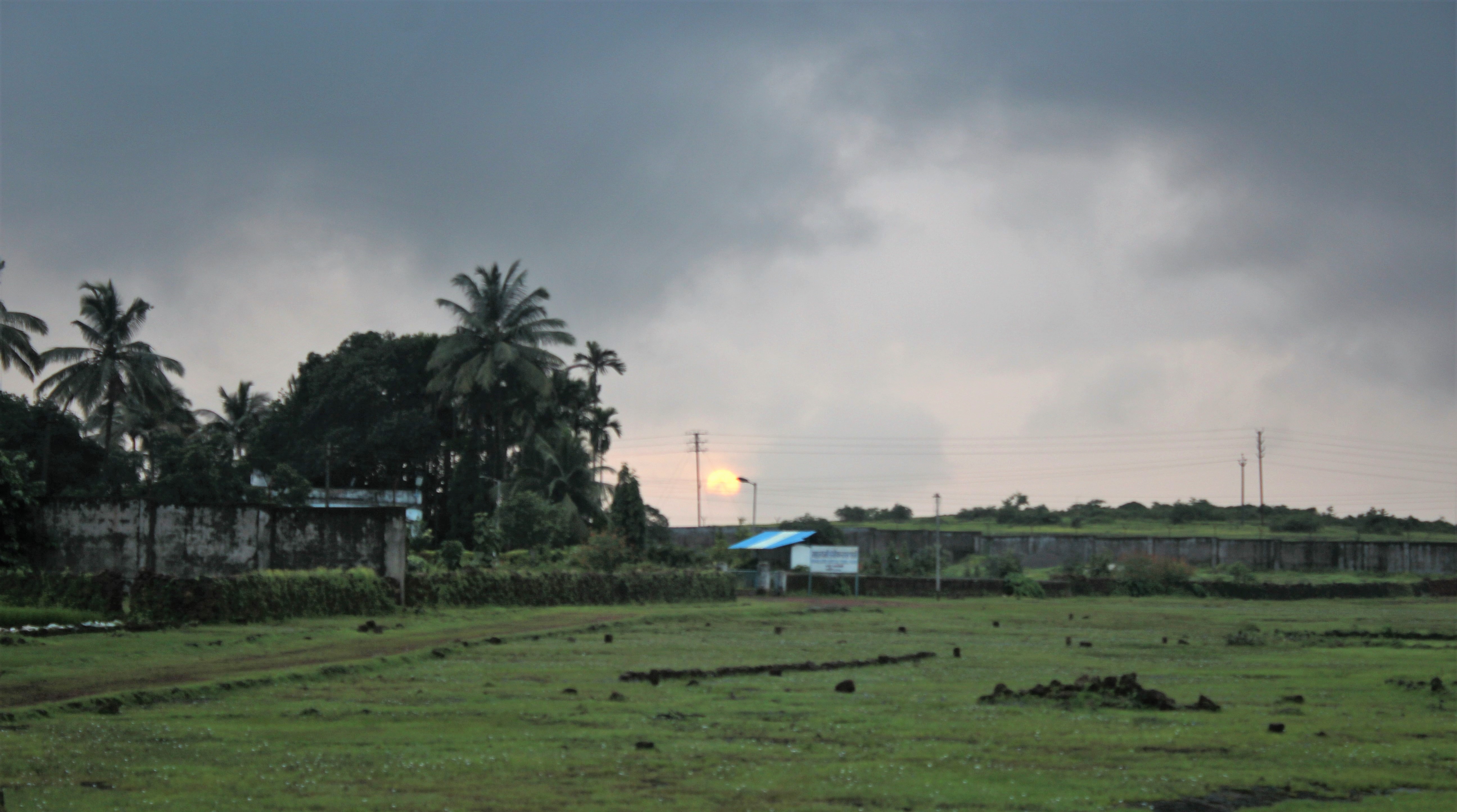 sun, green