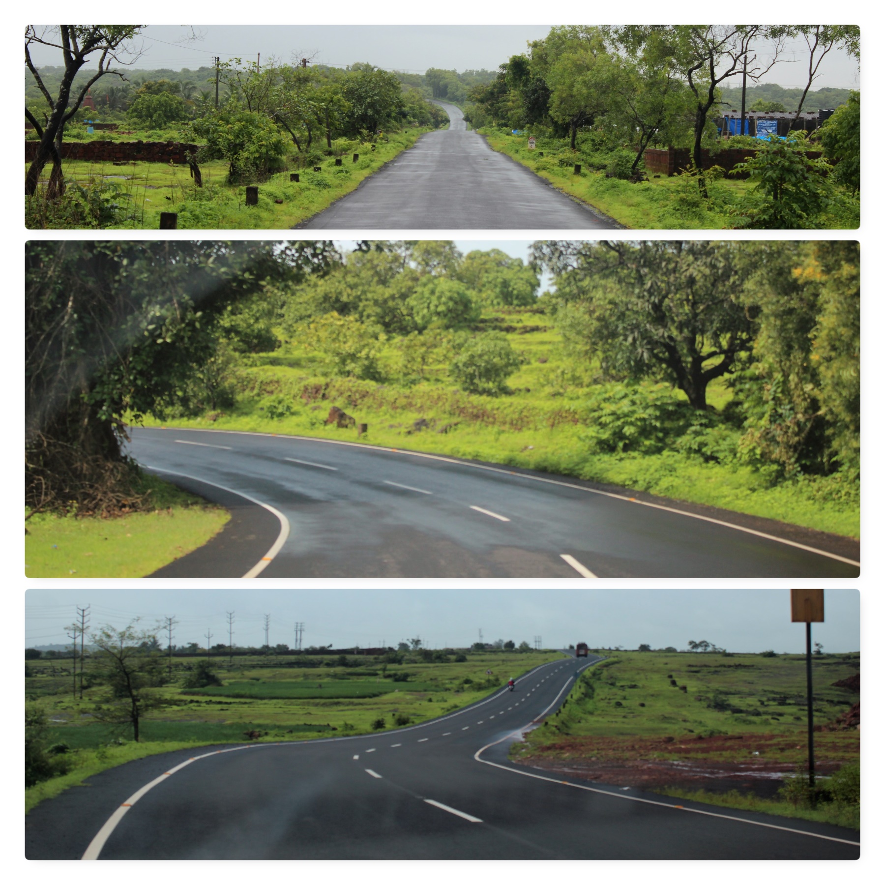 contrast, strike, tar, road, shade, green
