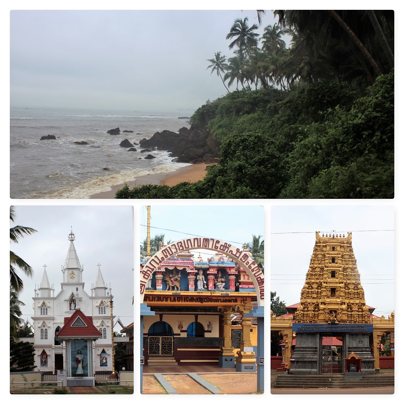 merge, palm frond, rocks, sea, stand out, architecture, splendor, church, school, temple