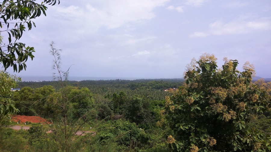 Apartment, Indian West Coast, Arabian Sea