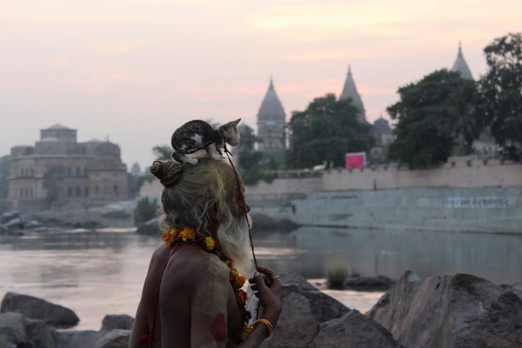Mendicant with cat at Orchha, Madhya Pradesh, Bundelkhand