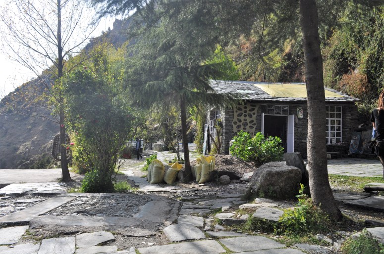 attract, youngster, mcleodganj, shiva cafe