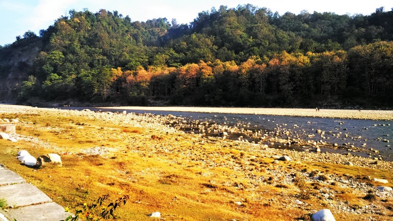 riverview, walk, river