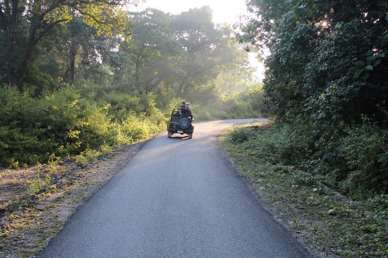 sunrise, gypsy, groggy, worth