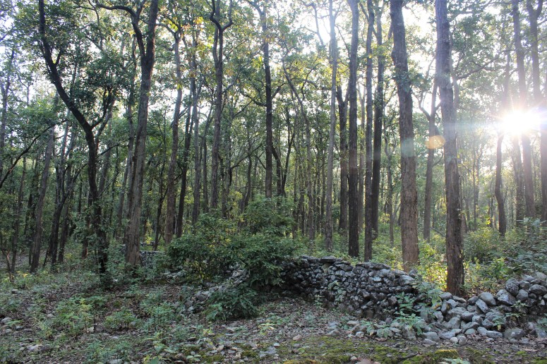 wall, animals, temple, people, happy