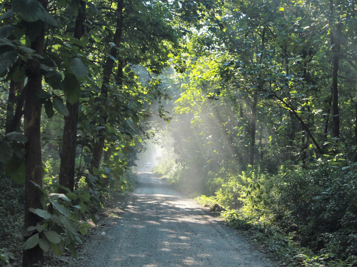 Beat The Heat! –&nbsp;2