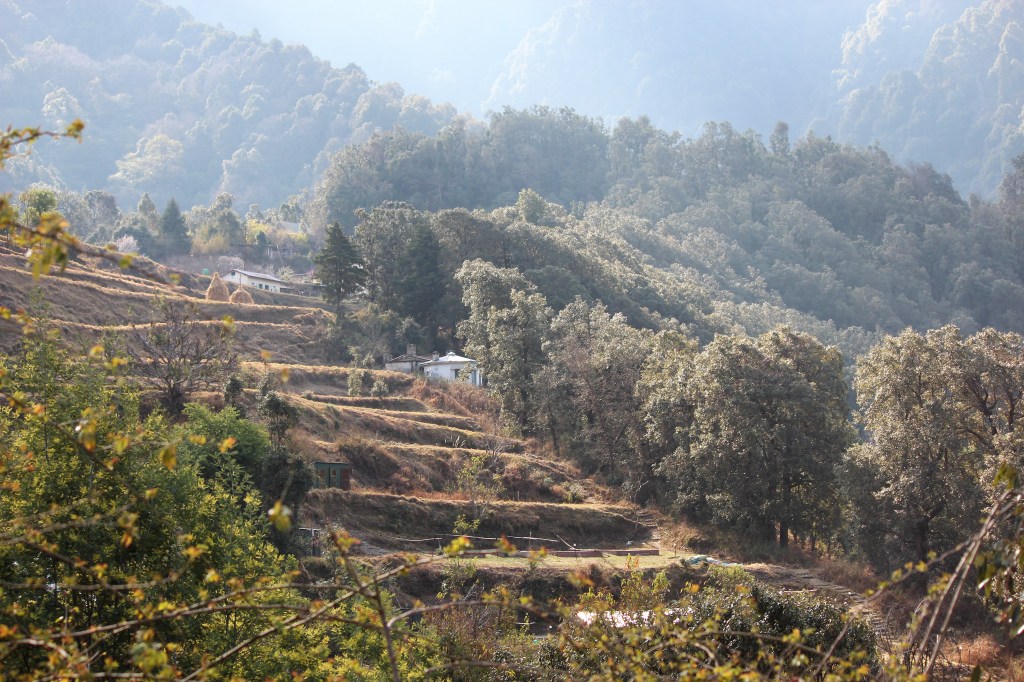 arid, summer, mountain