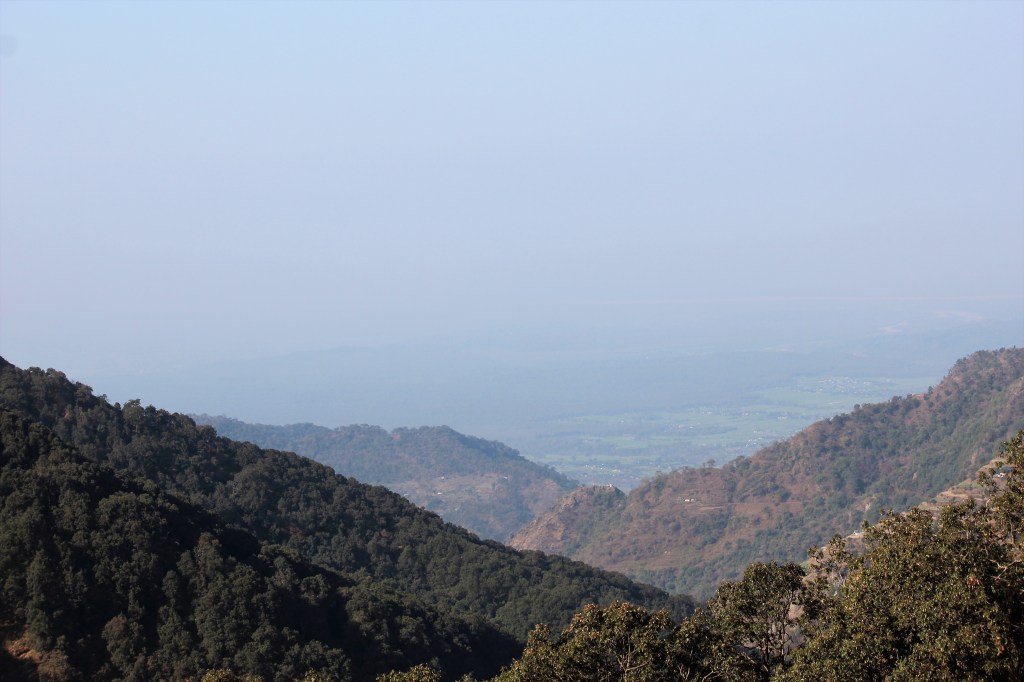 rare sight, mountain, urbanization