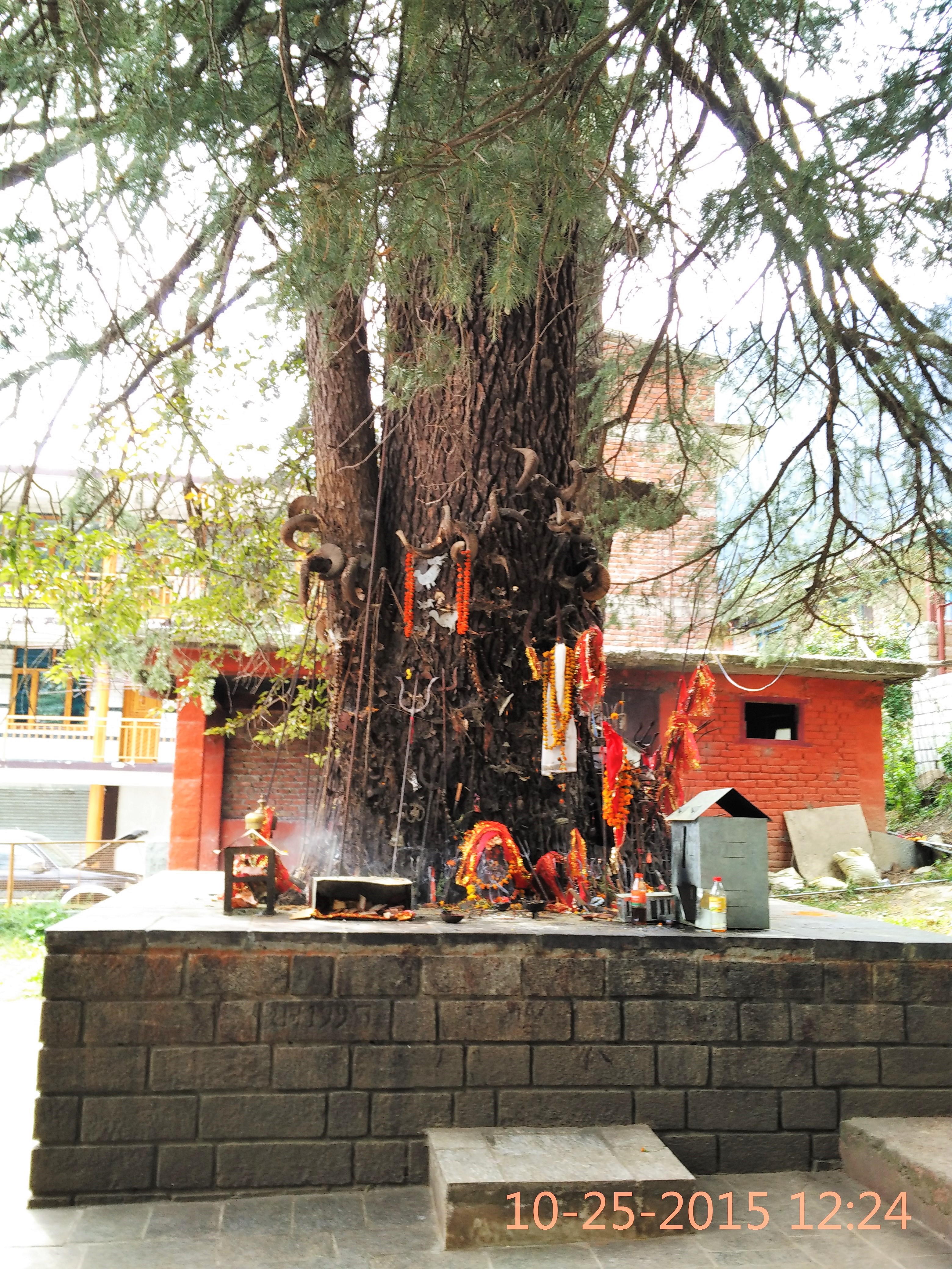 Ghatotkach Temple, Himachal Pradesh, India
