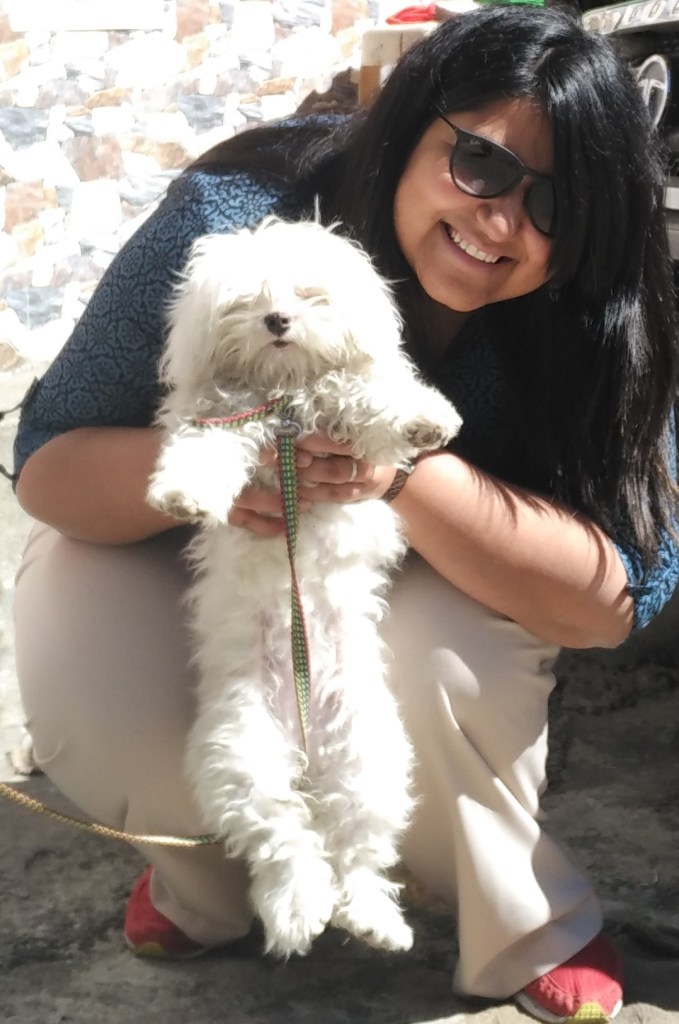 nathu la, furry, dog, sikkim, india