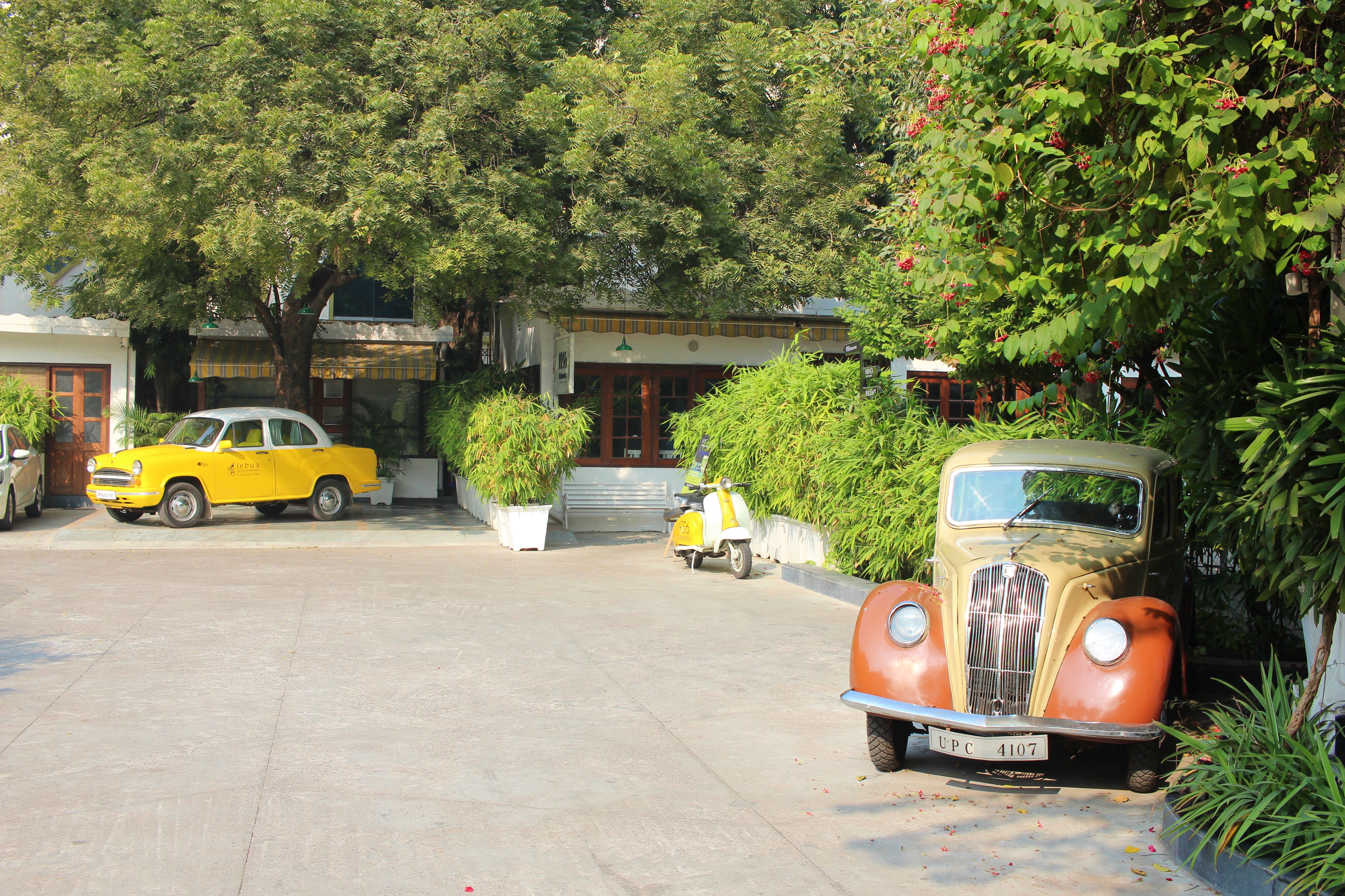 berserk, vintage, lebua, lucknow, uttar pradesh, india