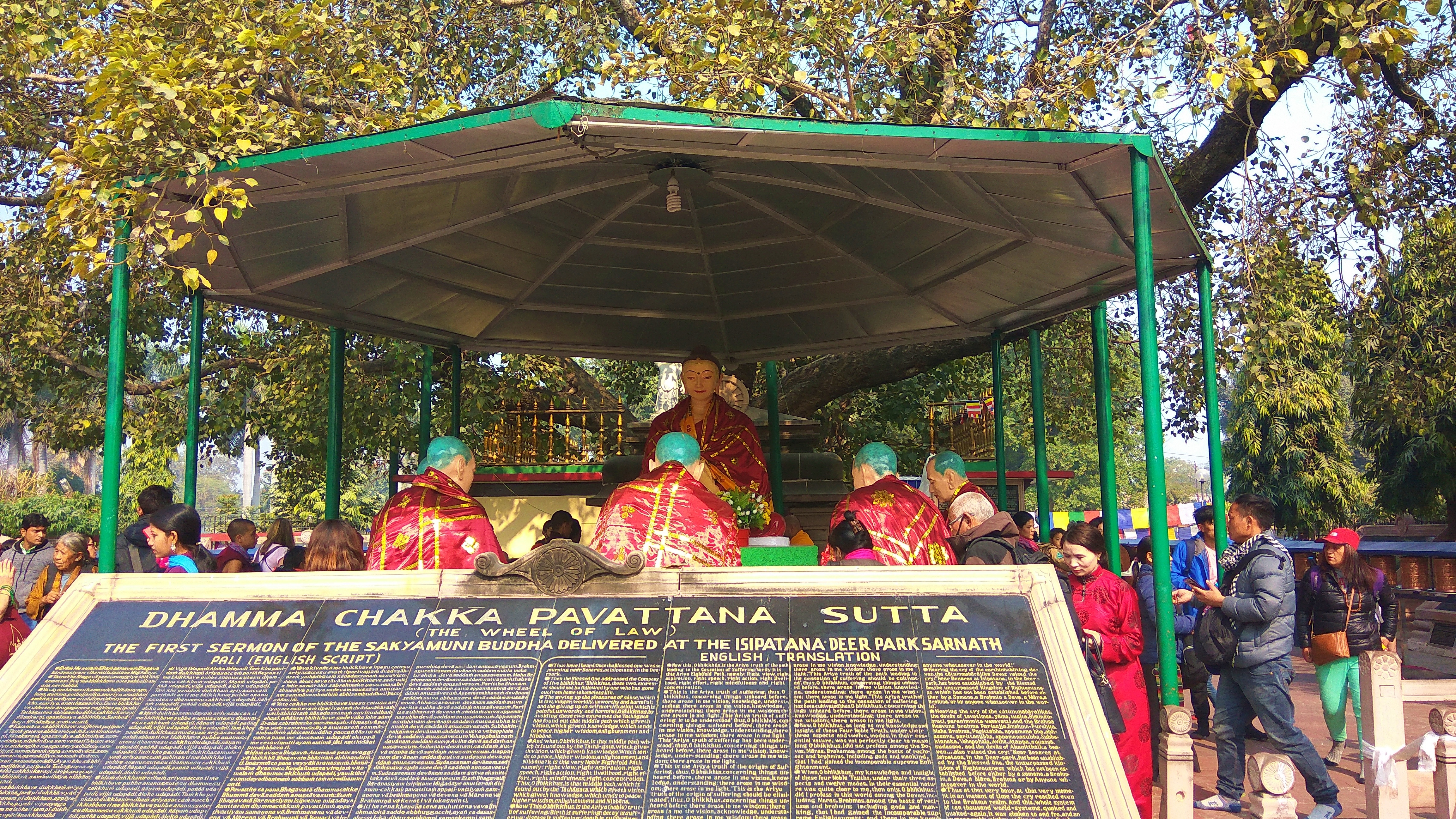 parikrama, bodhi tree, mulagandha kuti vihara, sarnath, varanasi, uttar pradesh, india
