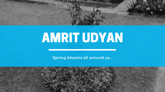 Amrit Udyan, Presidential Estate, New Delhi, India