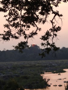 Sunset, Panna Tiger Reserve