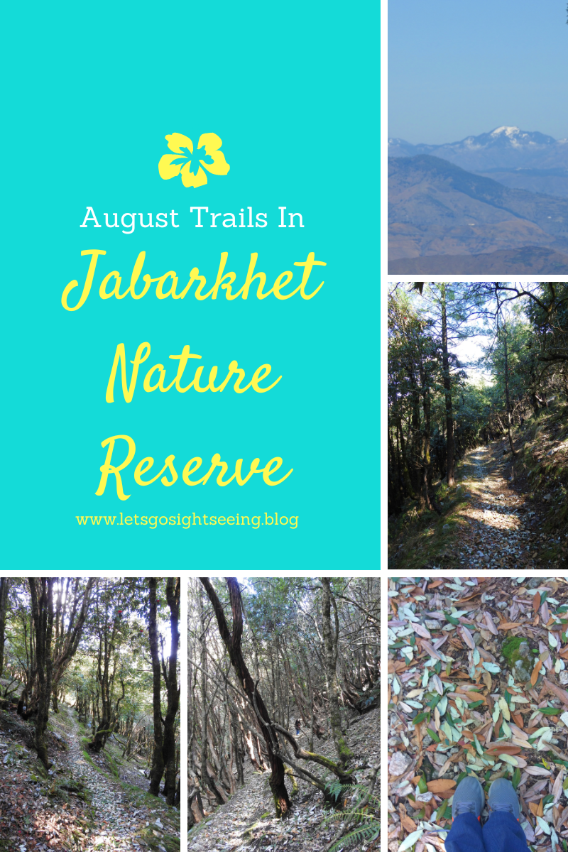 trail, Jabarkhet Nature Reserve