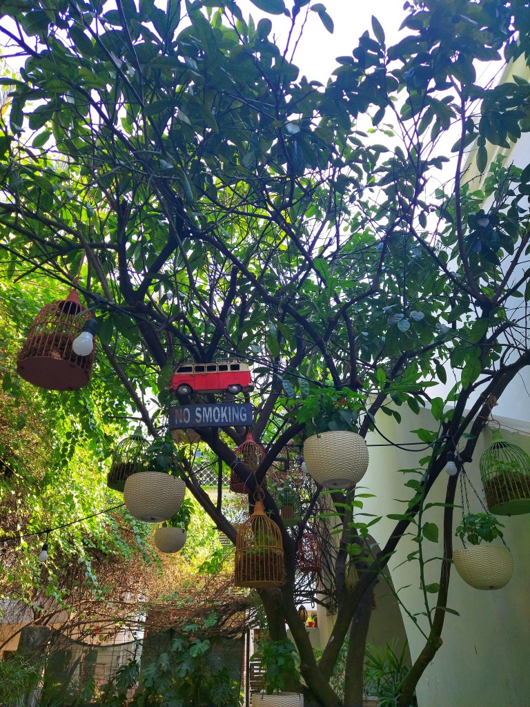 Cherry Tree Cafe, Lucknow