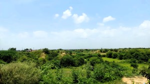 Ravines covered with greenery in the Chambal region of Morena, Madhya Pradesh, India