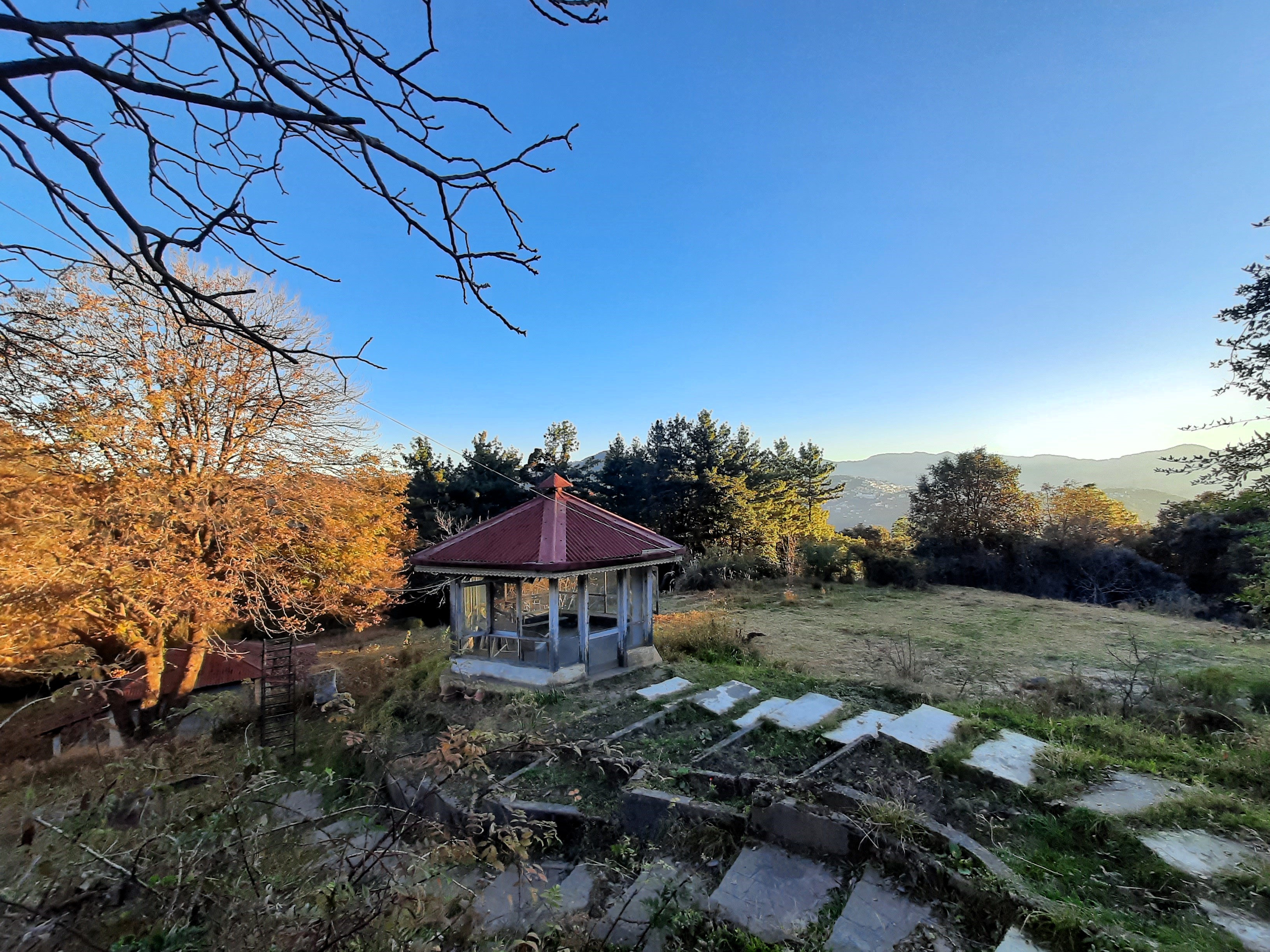 Casalini Estate, Tara Devi