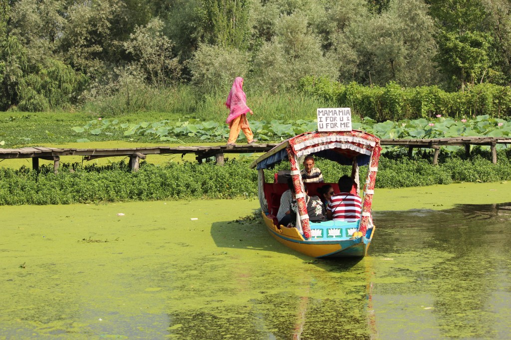 Funny name for a shikara on the Dal Lake in Srinagar, Kashmir