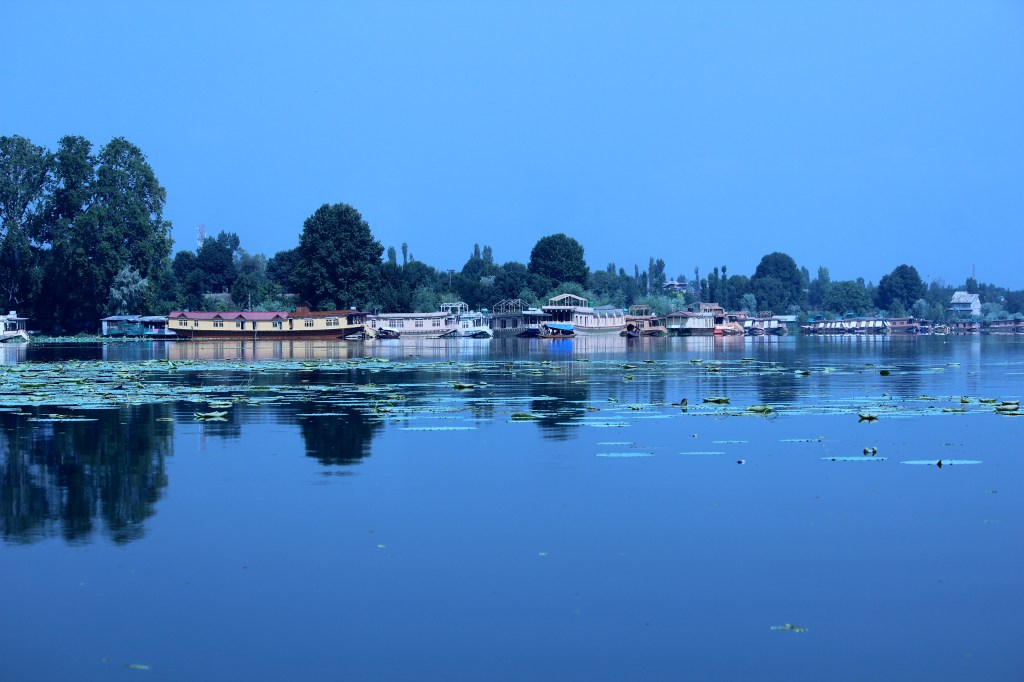 The serene Dal Lake in Srinagar, Kashmir