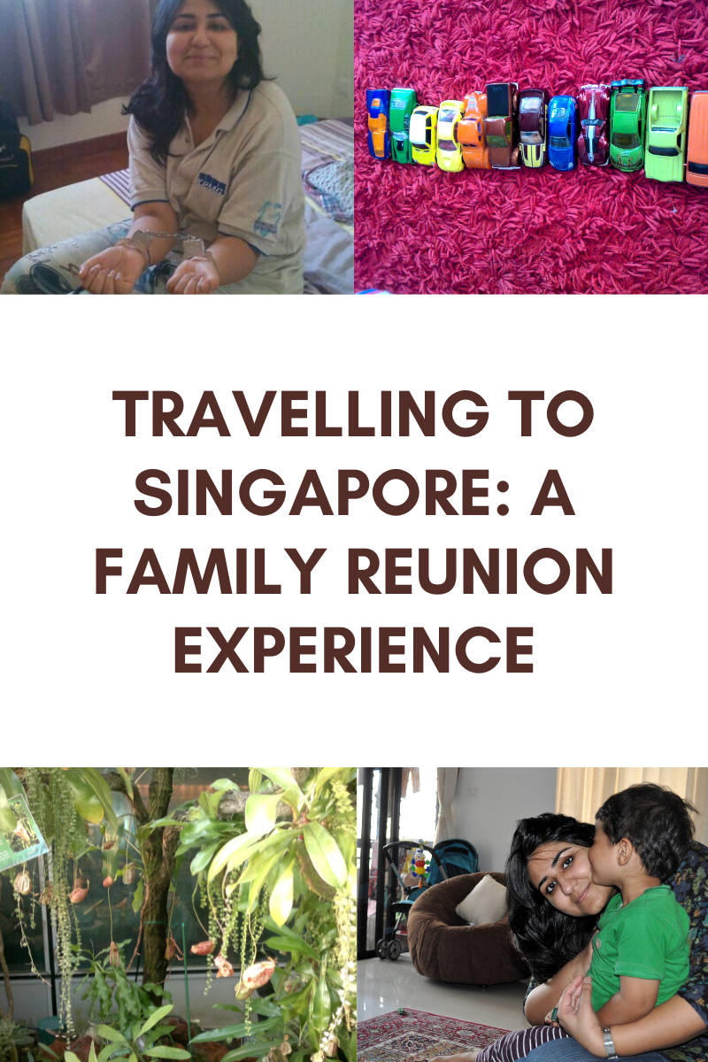 Traveling to Singapore: A Family Reunion Experience