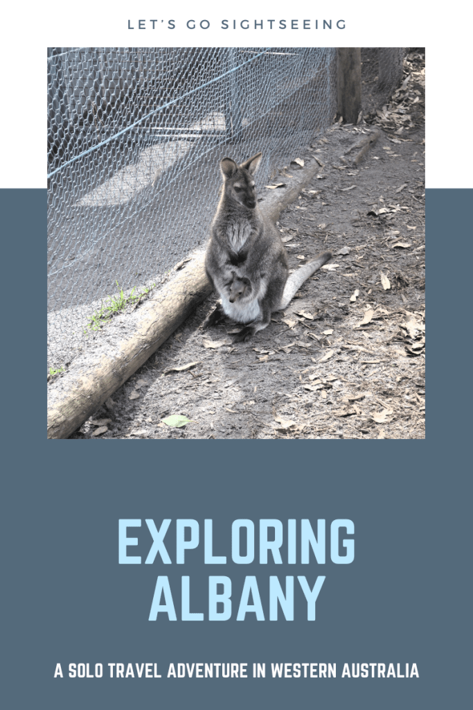 Exploring Albany - A Solo Travel Adventure in Western Australia